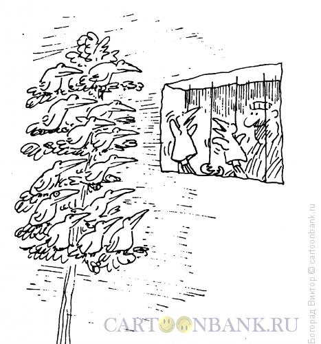 Карикатура: Представление, Богорад Виктор