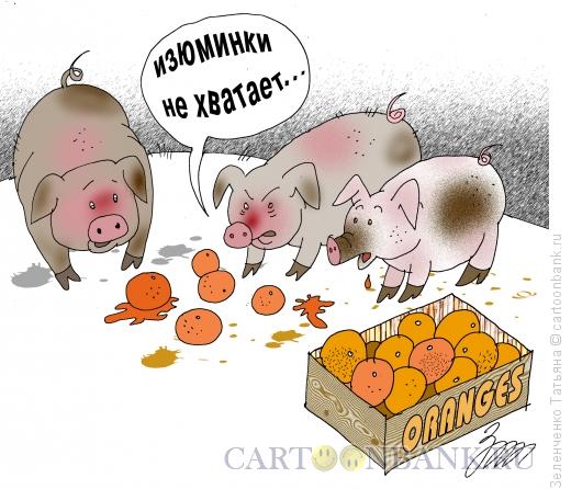 Карикатура: Специалисты по апельсинам, Зеленченко Татьяна