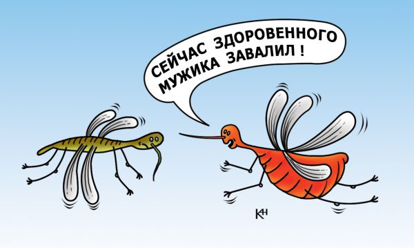Карикатура: Комар хвавстун, Александр Кузнецов
