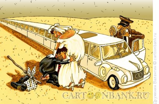 Карикатура: Длинный лимузин, Дружинин Валентин