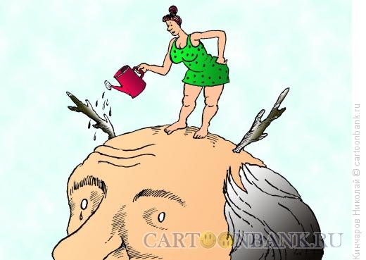 Карикатура: Заботливая жена, Кинчаров Николай