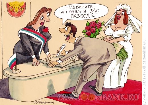 Карикатура: Цена развода, Дружинин Валентин