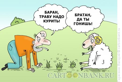 Карикатура: Наркобаран, Тарасенко Валерий
