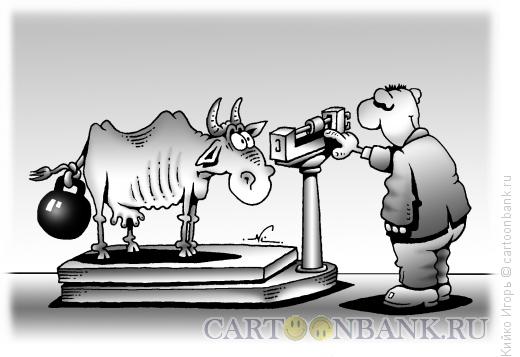 Карикатура: Откорм скота, Кийко Игорь