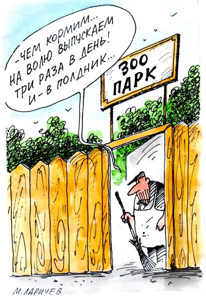 Карикатура: зоопарк, михаил ларичев