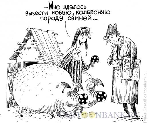 Карикатура: Свиноводство, Гуцол Олег