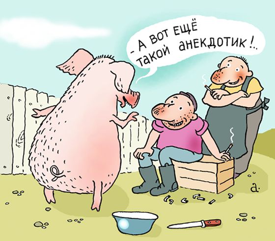 Карикатура: Анекдоты свиньи, Василий Александров