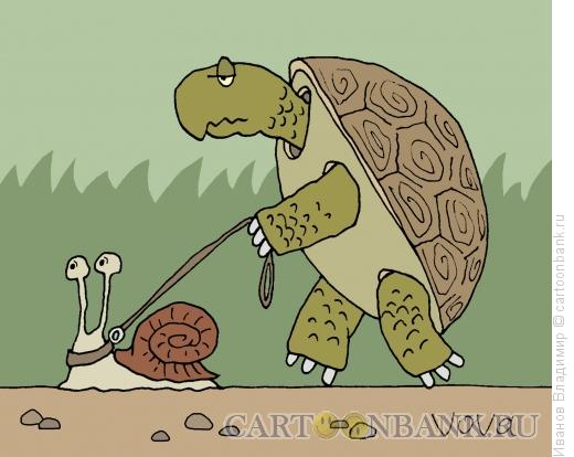 Карикатура: Черепаха и улитка, Иванов Владимир