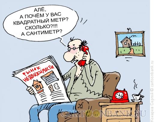 Карикатура: Квадратный сантиметр, Кокарев Сергей