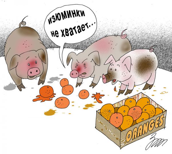 Карикатура: Изюминки не хватает, Татьяна Зеленченко