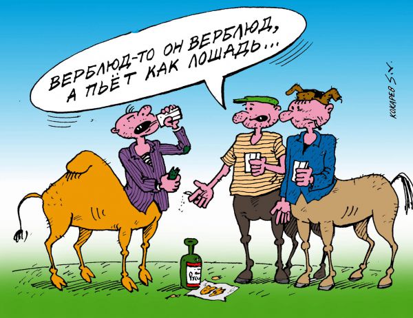 Карикатура: верблюд, кокарев
