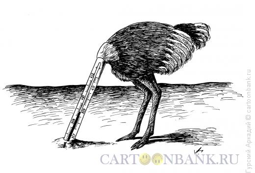 Карикатура: страус, Гурский Аркадий