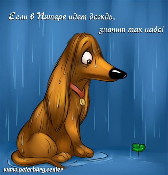 Карикатура: Если в Питере илет дождь, Эфен Гайдэ