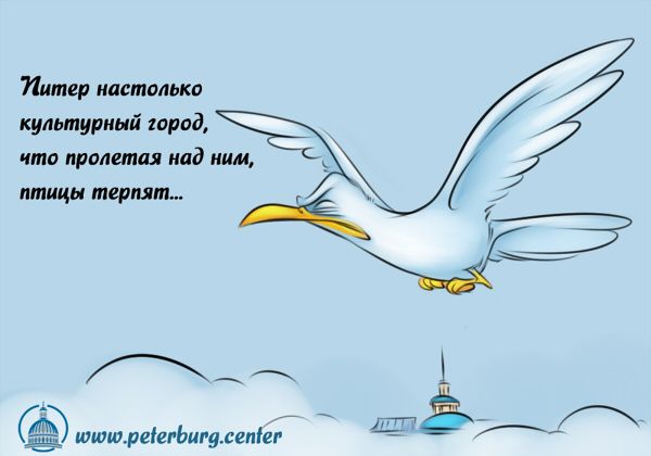 Карикатура: Птицы терпят, Эфен Гайдэ