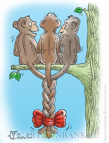 Карикатура: Обезьянья косичка, Смагин Максим