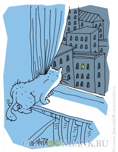 Карикатура: кот на окне, Кононов Дмитрий