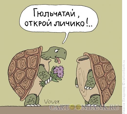Карикатура: Открой личико, Иванов Владимир