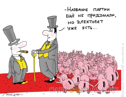 Карикатура: Электорат, Воронцов Николай