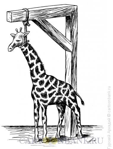 Карикатура: жираф, Гурский Аркадий