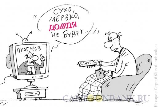 Карикатура: прогноз, Кокарев Сергей