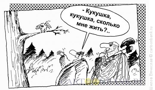 Карикатура: Кукушка, Шилов Вячеслав