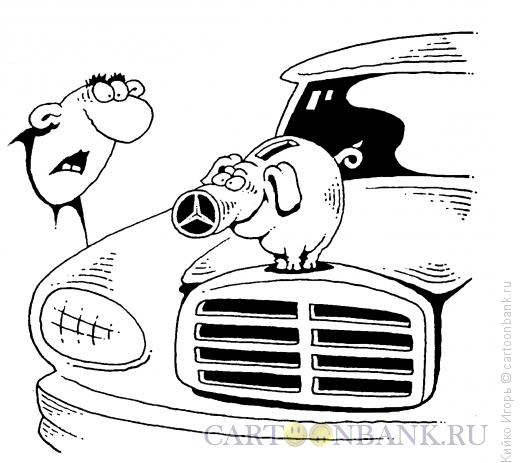 Карикатура: Свинка на капоте, Кийко Игорь