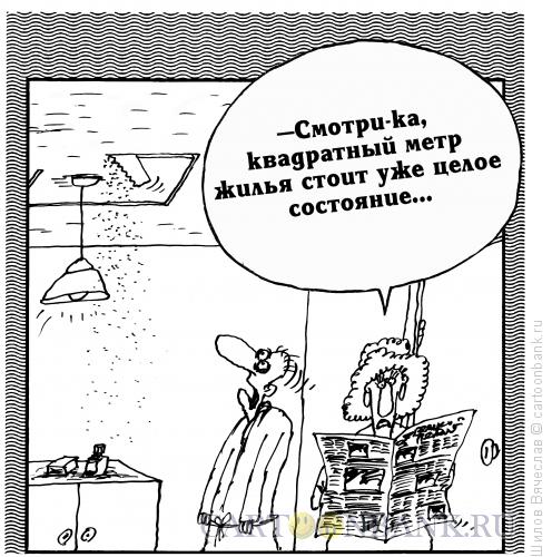 Карикатура: Метр жилья, Шилов Вячеслав