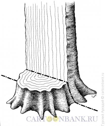 Карикатура: дерево-граница, Гурский Аркадий