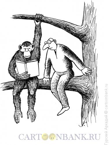 Карикатура: обезьяна с книгой, Гурский Аркадий