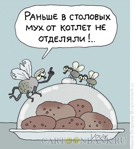 Карикатура: Мухи и котлеты, Иванов Владимир