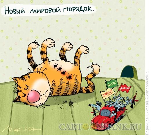 Карикатура: Новй мировой порядок, Воронцов Николай