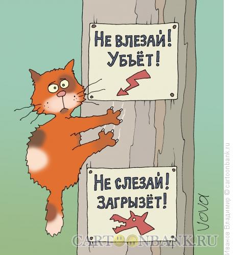Карикатура: Ограничения, Иванов Владимир
