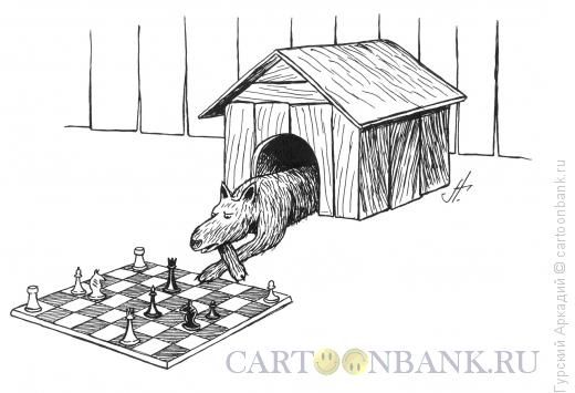 Карикатура: собака в будке, Гурский Аркадий