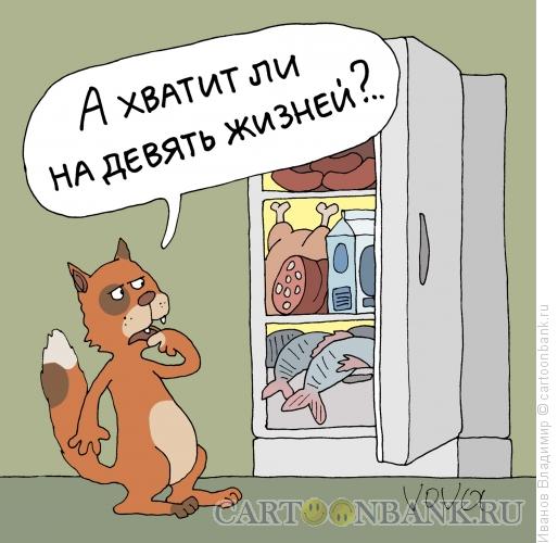 Карикатура: Кот у холодильника, Иванов Владимир