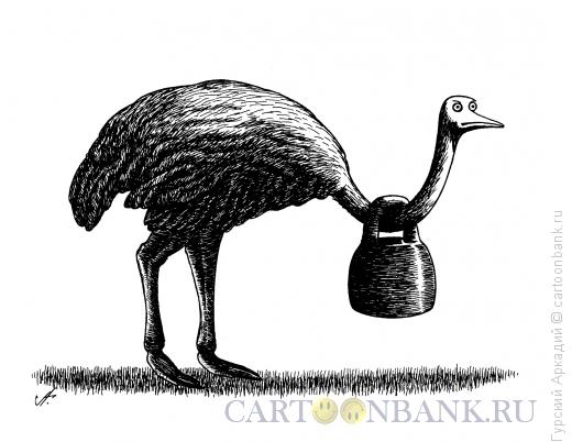 Карикатура: страус с гирей, Гурский Аркадий
