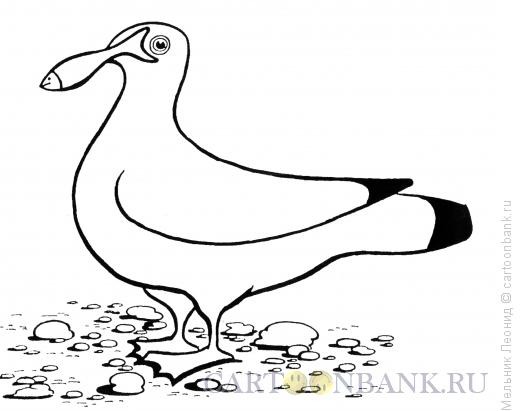 Карикатура: Удивительная чайка, Мельник Леонид