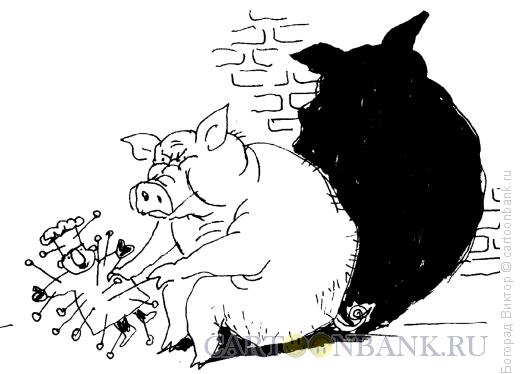 Карикатура: Вуду, Богорад Виктор