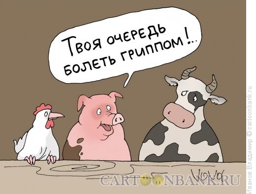 Карикатура: Грипп на подходе, Иванов Владимир
