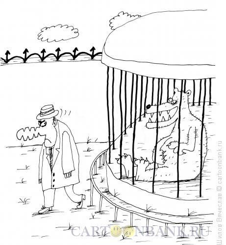 Карикатура: Укушенный медведем, Шилов Вячеслав