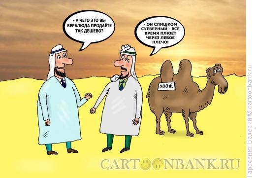 Карикатура: Суеверный верблюд, Тарасенко Валерий