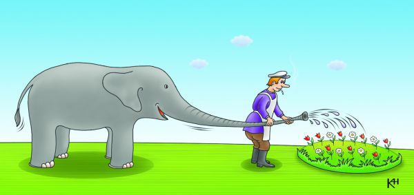 Карикатура: Тихий дворик, слон и дворник, Александр Кузнецов