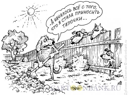 Карикатура: Собачья служба, Дубинин Валентин
