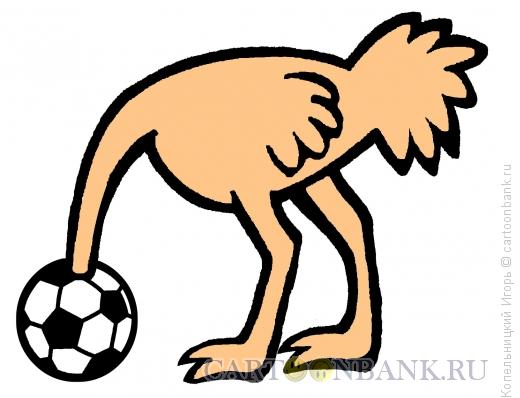 Карикатура: страус на футболе, Копельницкий Игорь