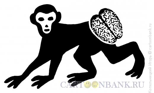 Карикатура: обезьяна, Копельницкий Игорь