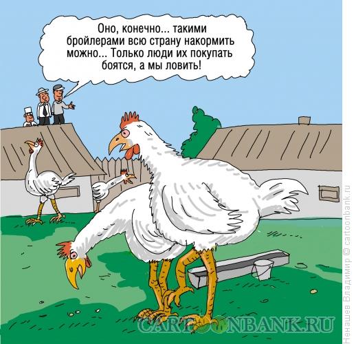 Карикатура: продукты и курятина, Ненашев Владимир