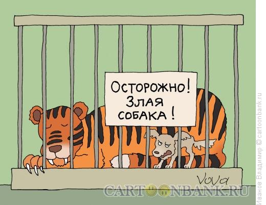 Карикатура: Злая собака, Иванов Владимир