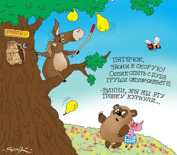 Карикатура: Расцветали яблоки на грушах :-), Кир Непьющий