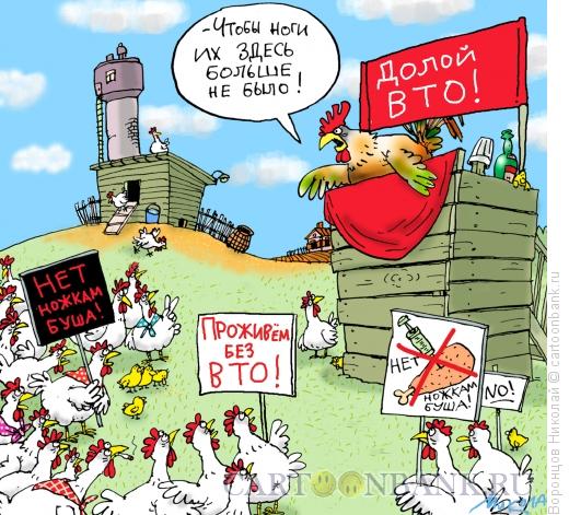 Карикатура: Куриный протест, Воронцов Николай
