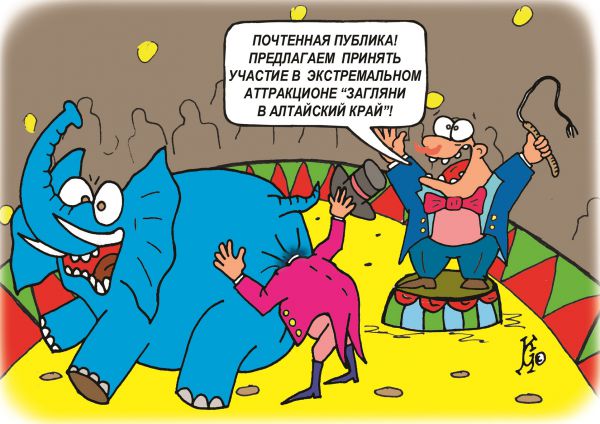 Карикатура: Загляни в Алтайский край, Ганов Константин