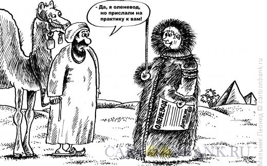 Карикатура: Практика, Мельник Леонид